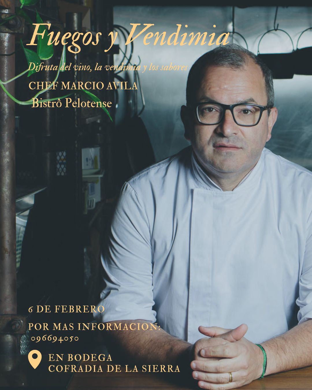 COFRADÍA DE LA SIERRA: FUEGOS Y VENDIMIA