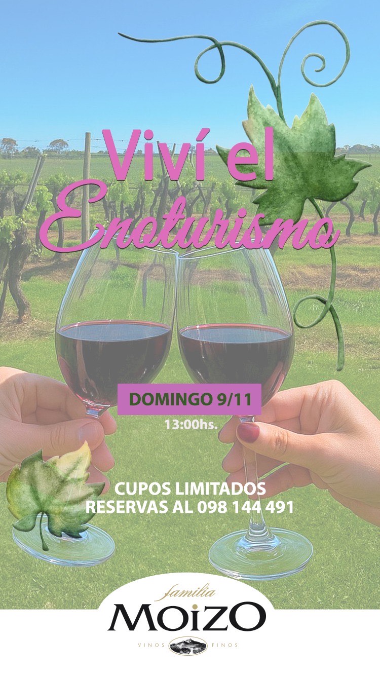 BODEGA FAMILIA MOIZO: DÍA DEL ENOTURISMO