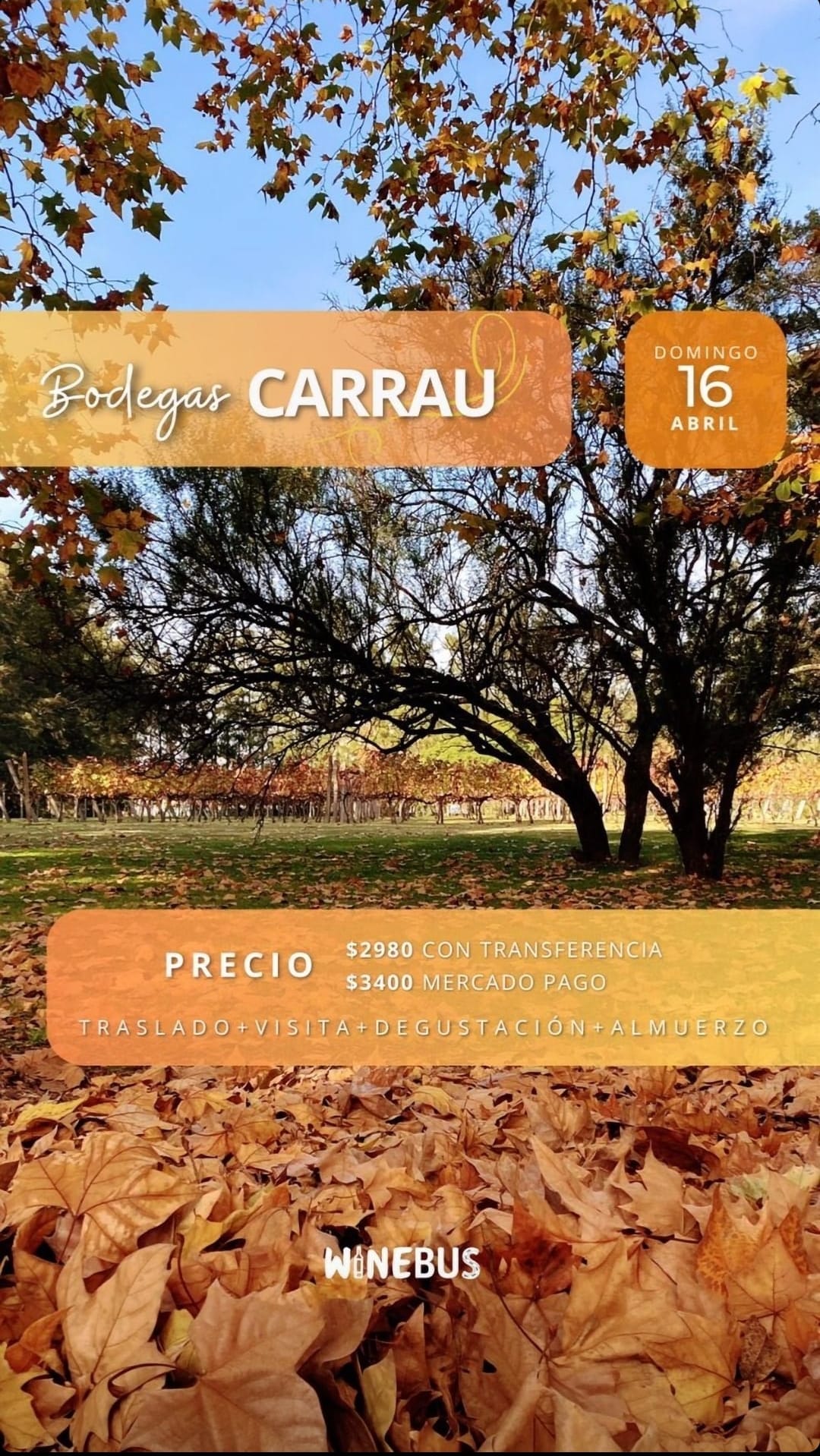 BODEGA CARRAU: BODEGAS EN OTOÑO