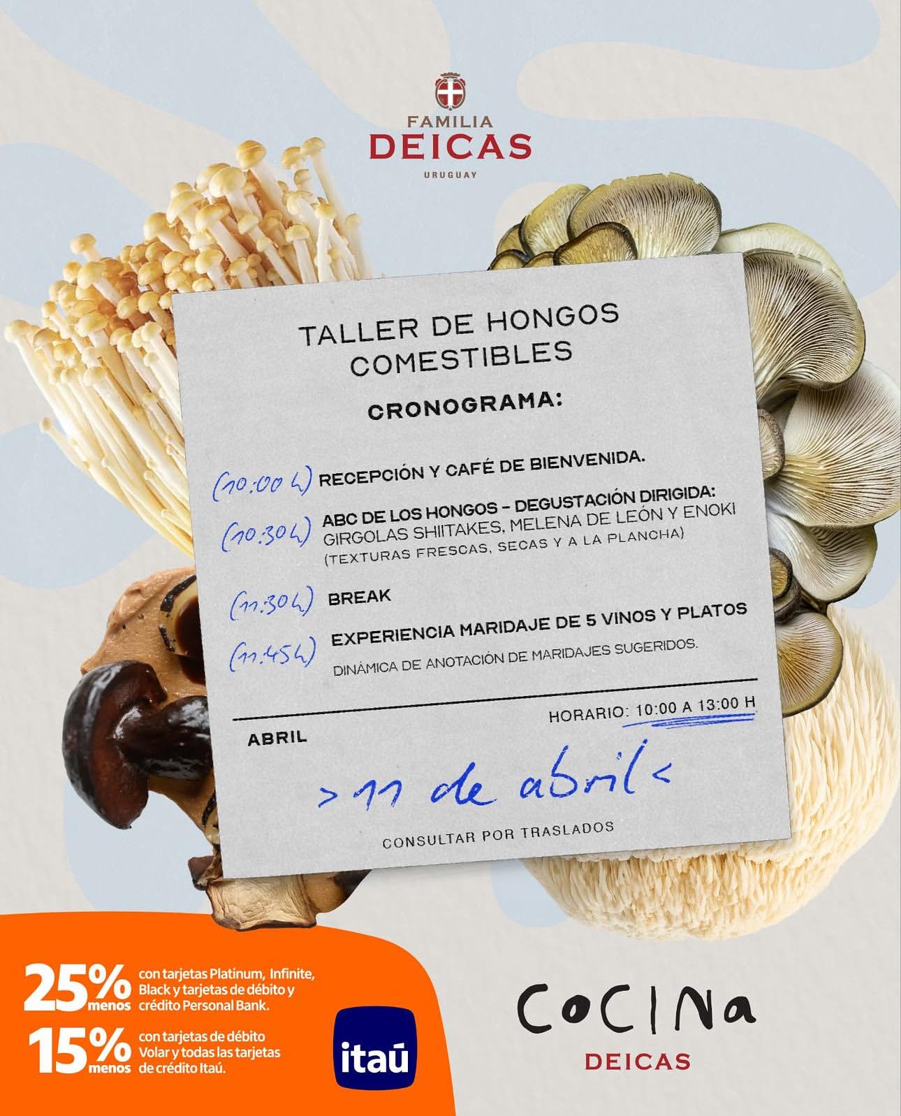 TALLER DE HONGOS COMESTIBLES