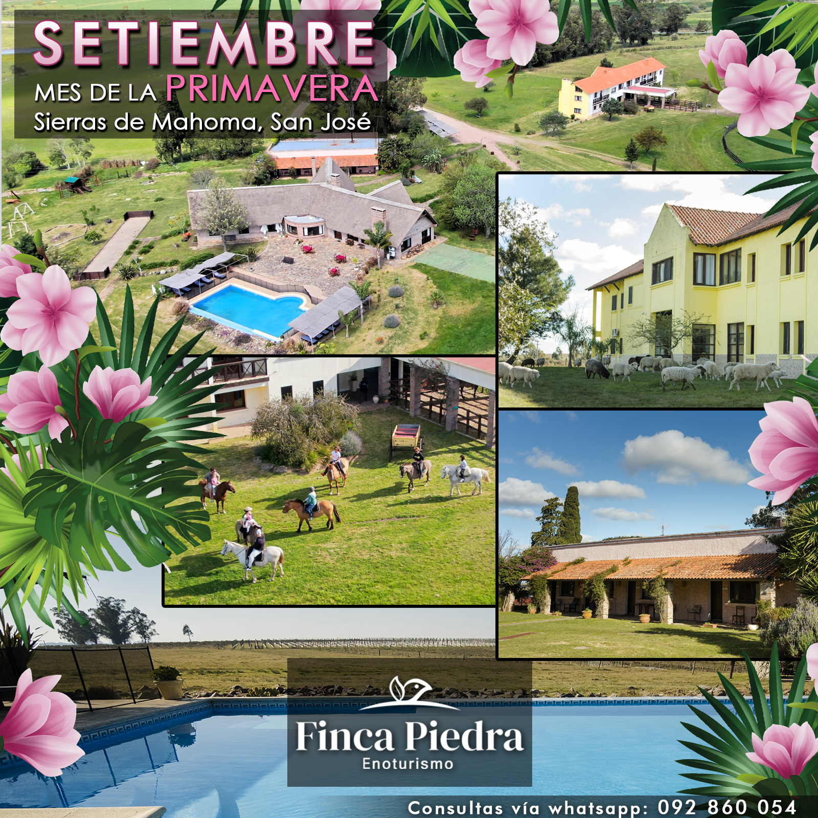 SEPTIEMBRE EN FINCA PIEDRA