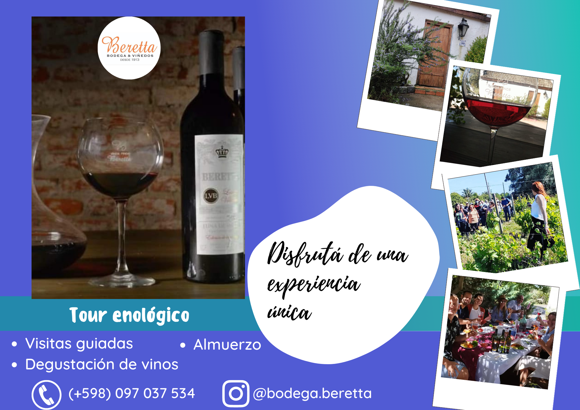 BODEGA BERETTA: TOUR ENOLÓGICO & VISITA ACCESIBLE