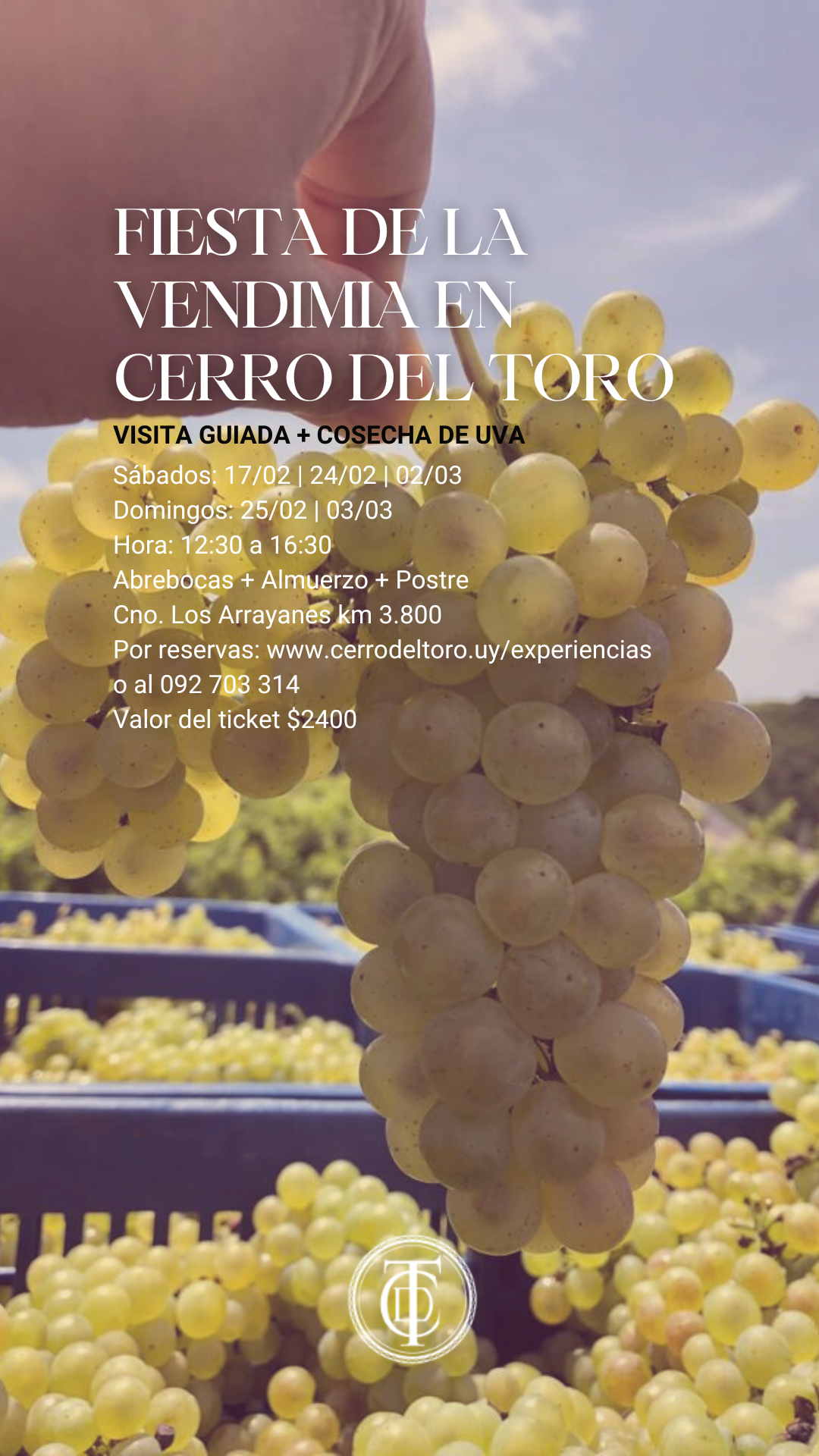 FIESTA DE LA VENDIMIA EN CERRO DEL TORO