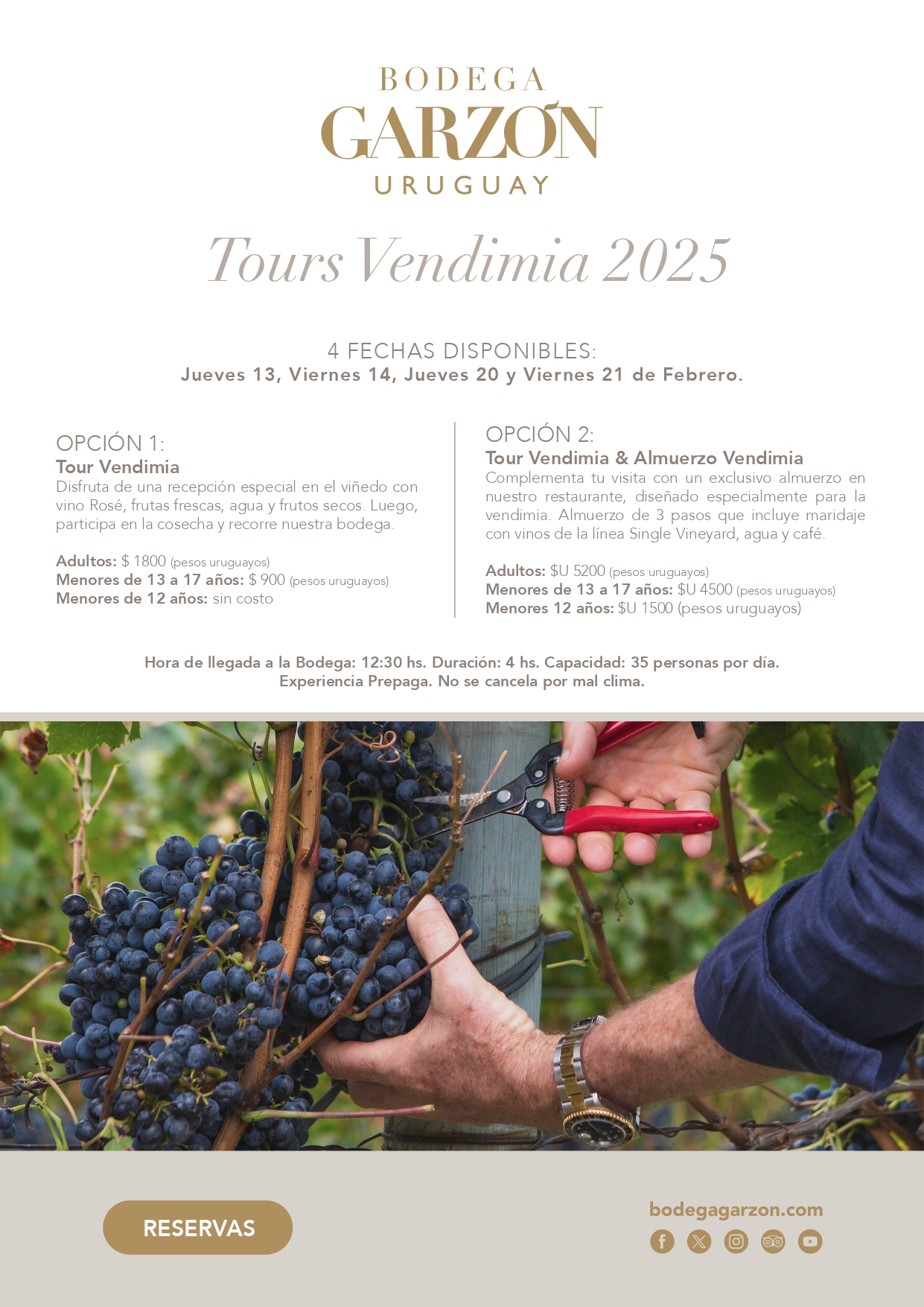 BODEGA GARZÓN: TOUR VENDIMIA 2025