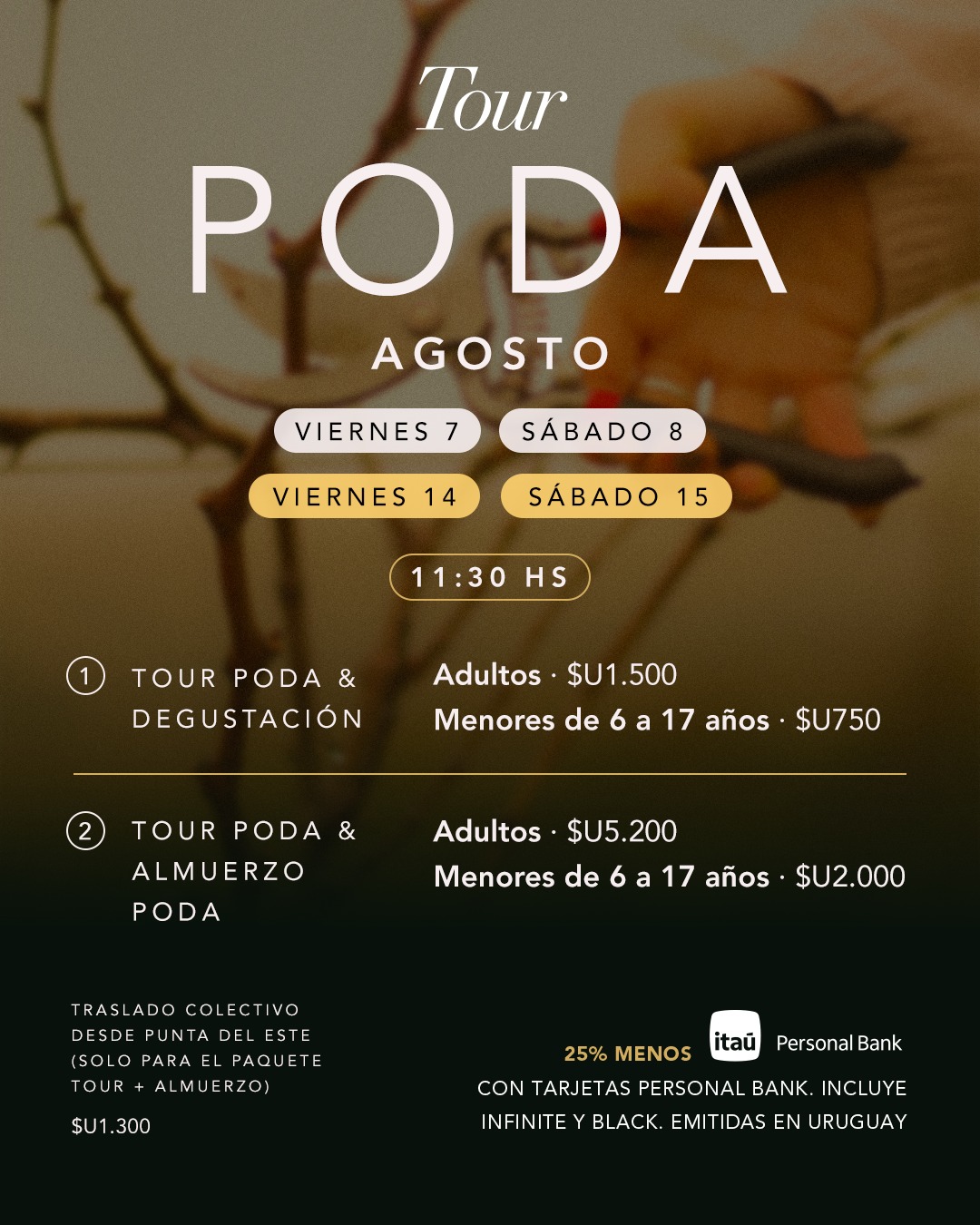 BODEGA GARZON: TOUR DE PODA