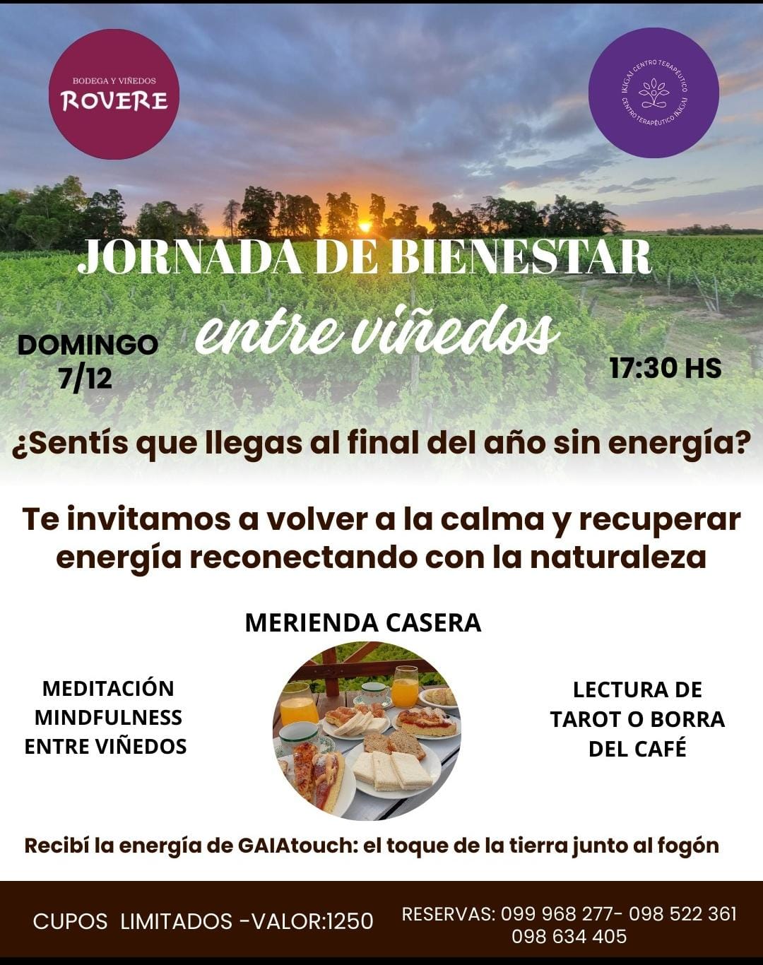 BODEGA ROVERE: JORNADA DE BIENESTAR ENTRE VIÑEDOS