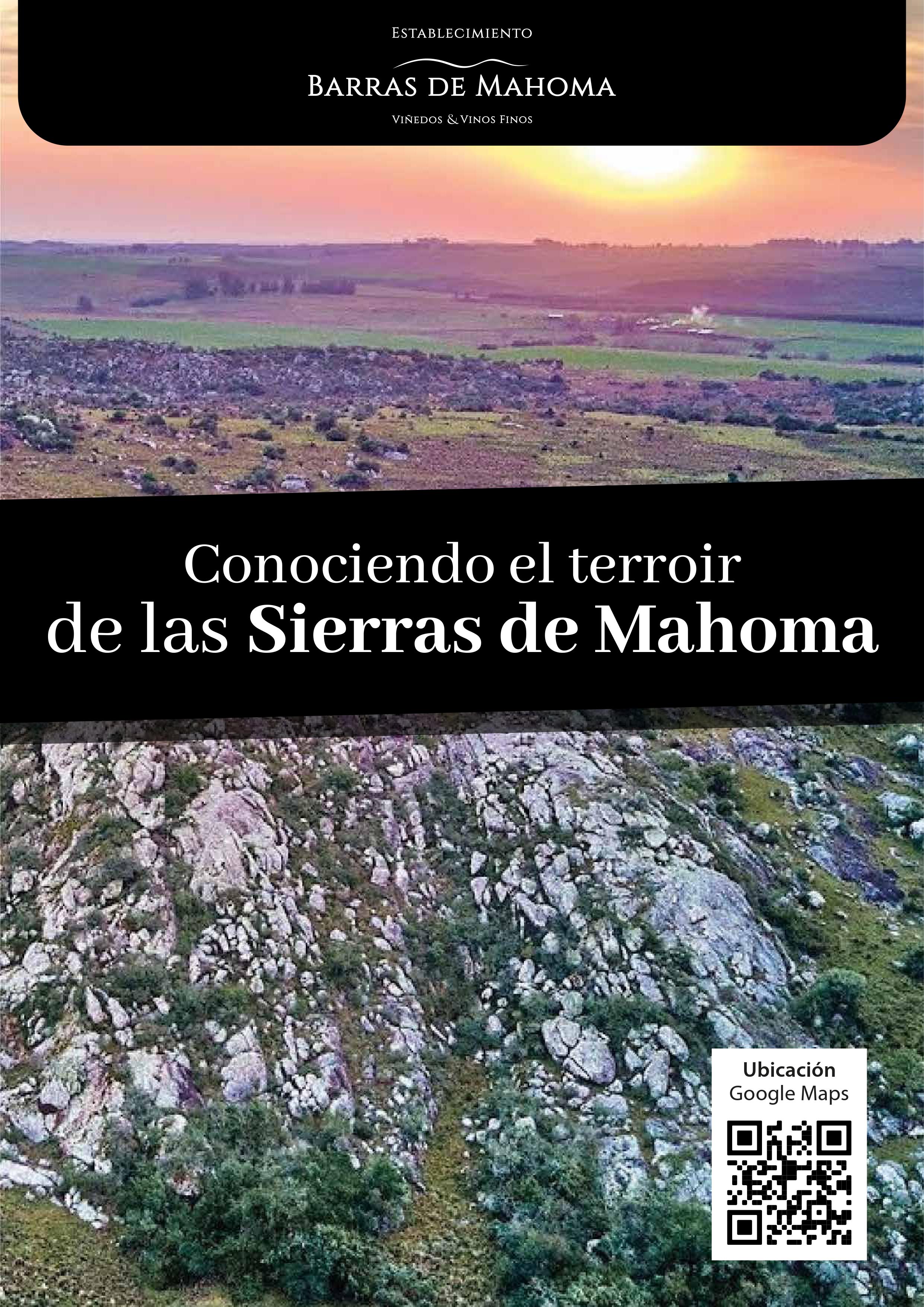 BARRAS DE MAHOMA: ENOTURISMO