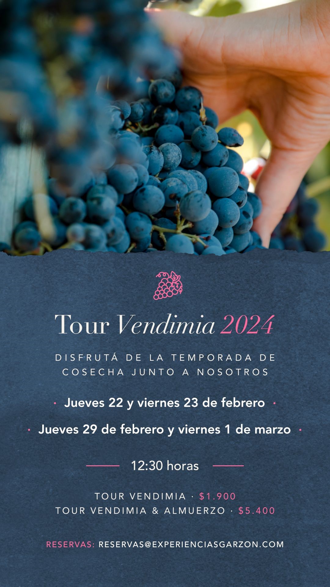 TOUR VENDIMIA 2024 EN BODEGA GARZÓN