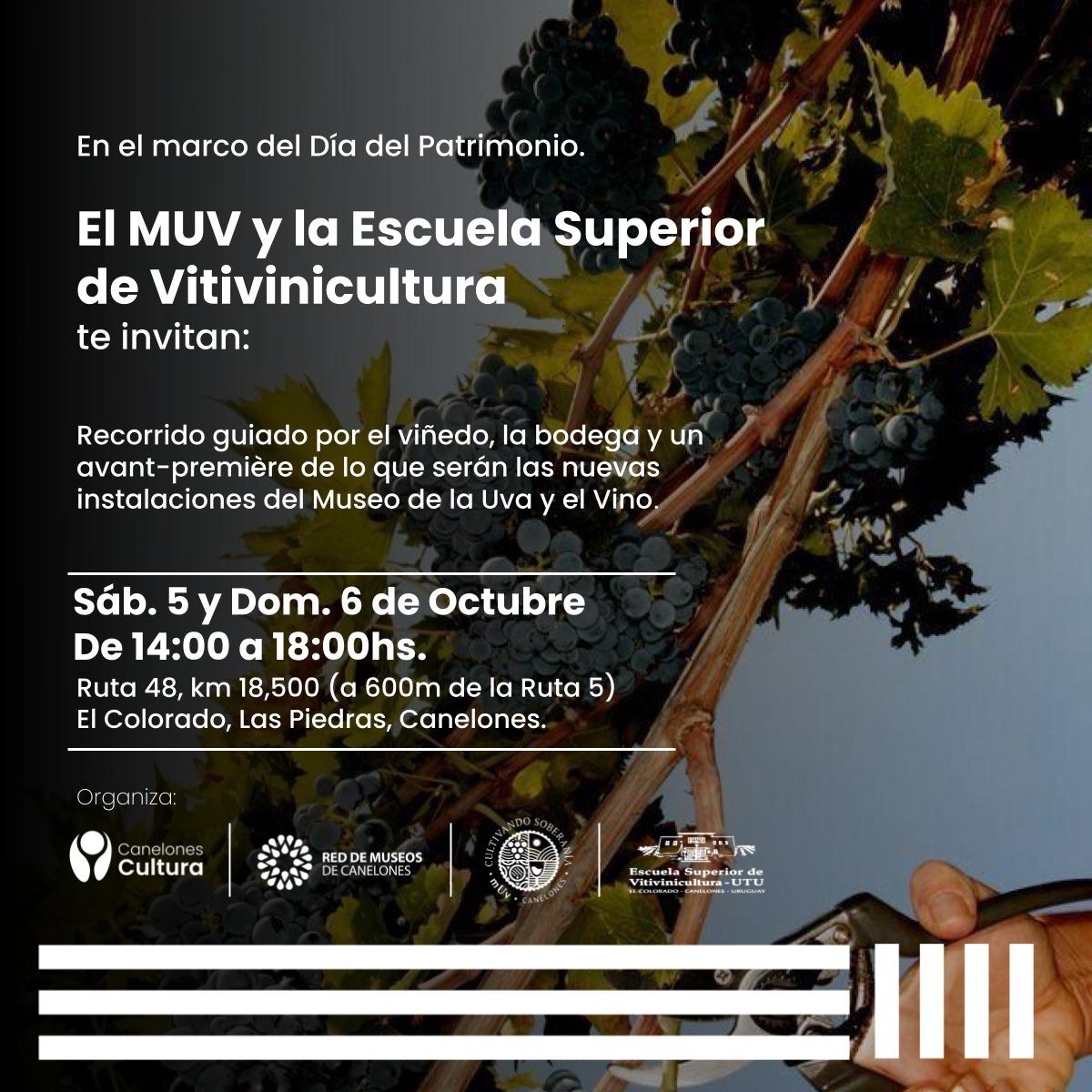 MUV Y ESCUELA SUPERIOR DE VITIVINICULTURA: DÍA DE PATRIMNIO