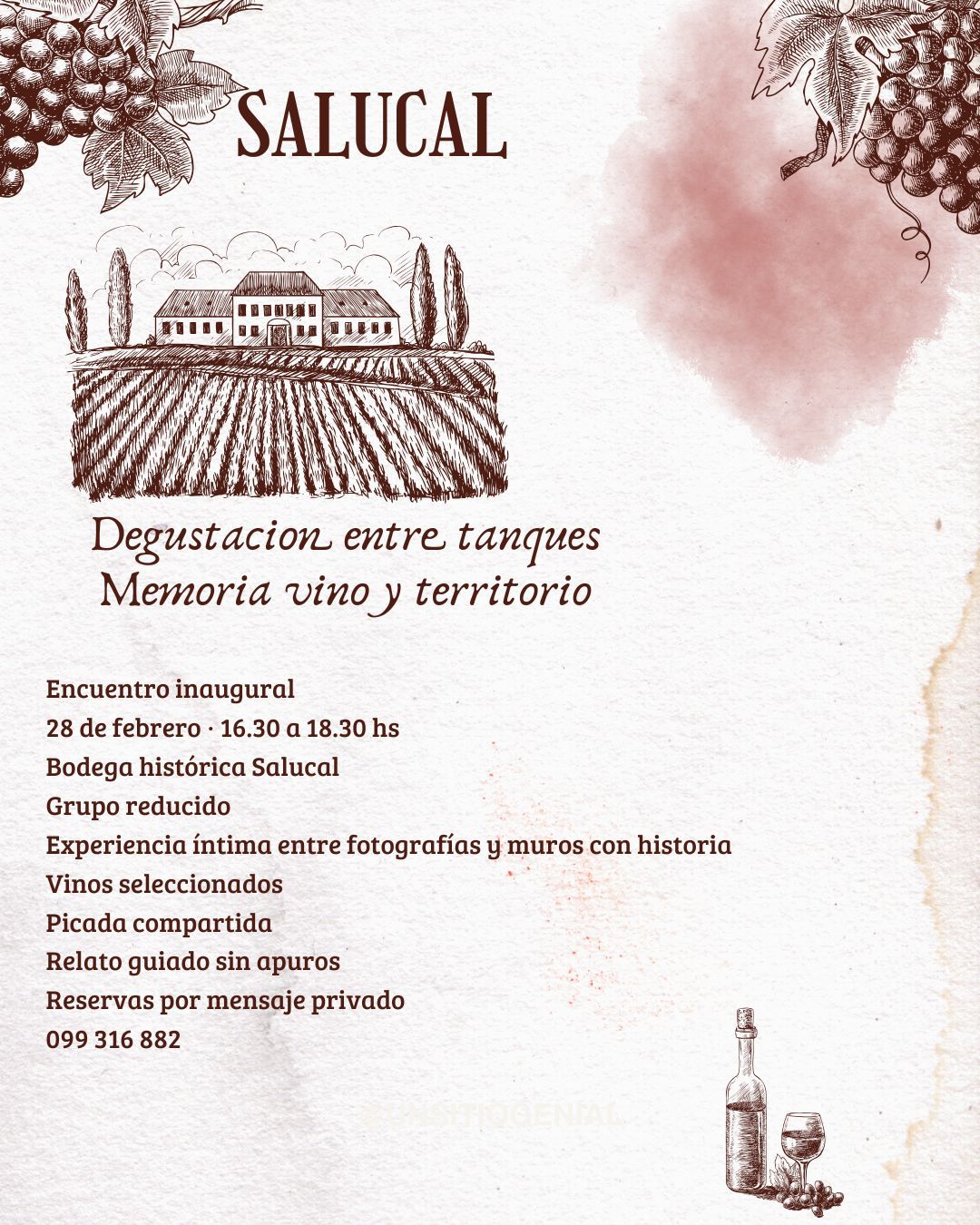 BODEGA SALUCAL: DEGUSTACIÓN ENTRE TANQUES: MEMORIA, VINO Y TERRITORIO