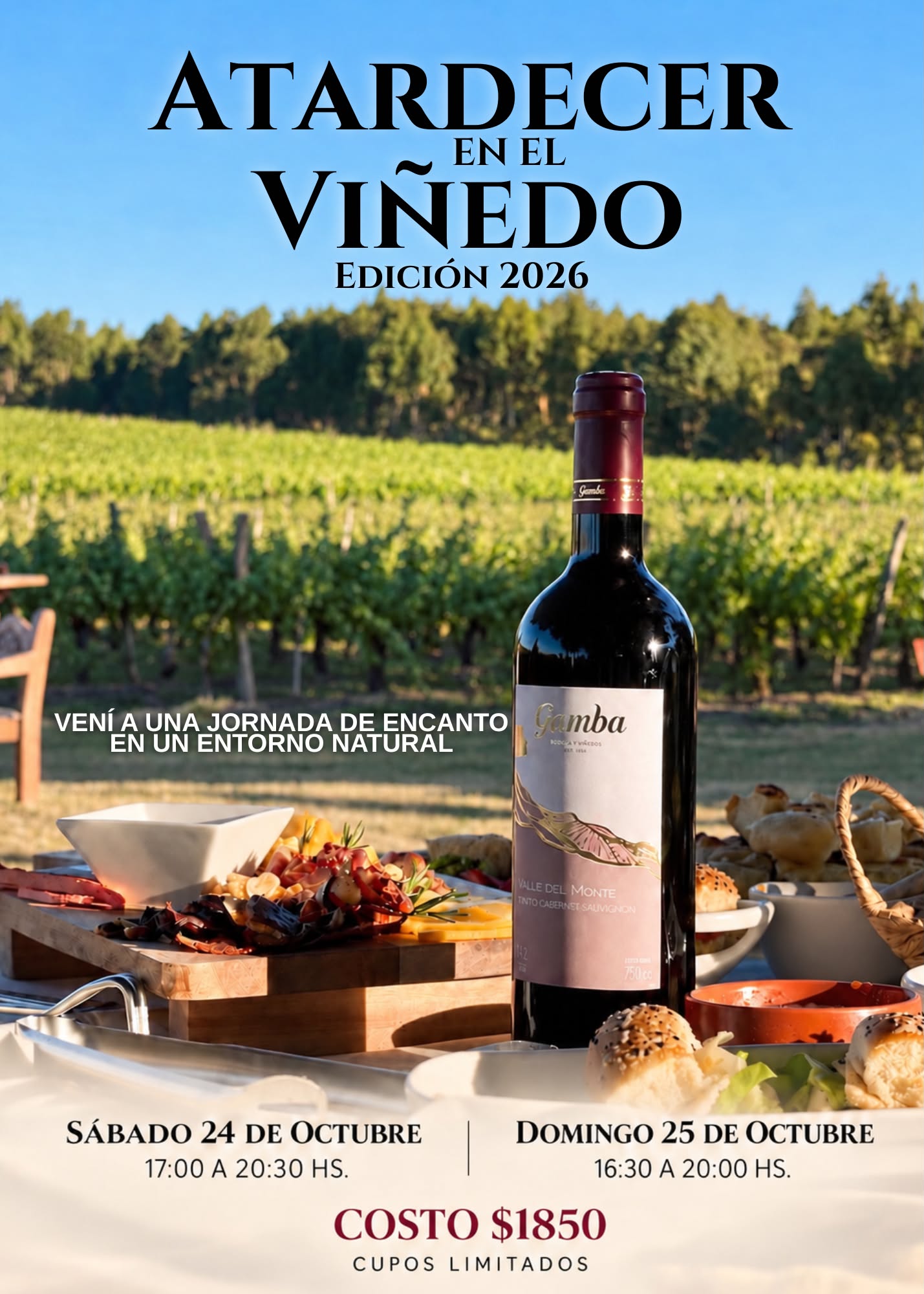 VIÑEDOS Y BODEGA GAMBA ATARDECER EN EL VIÑEDO EDICIÓN 2026