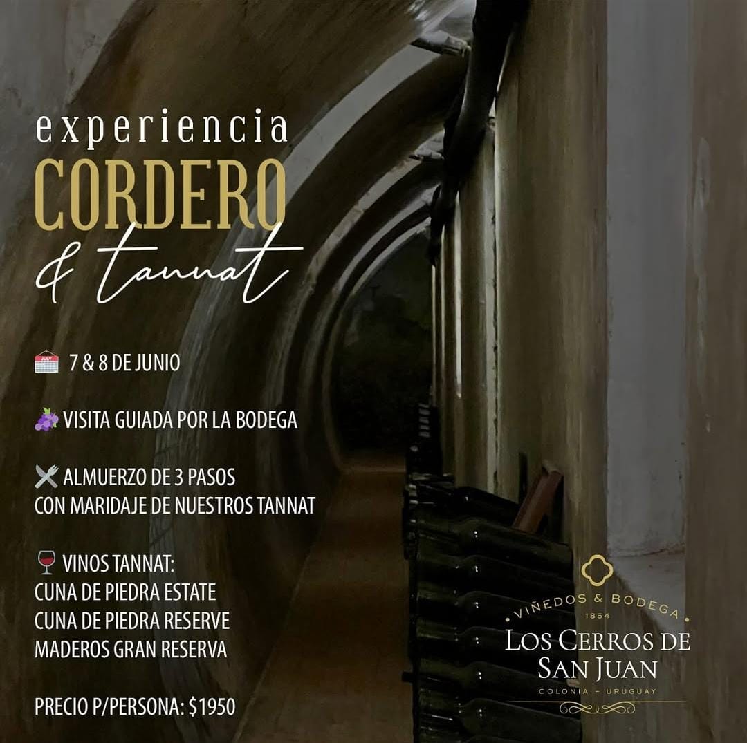 BODEGA LOS CERROS DE SAN JUAN: EXPERIENCIA TANNAT & CORDERO