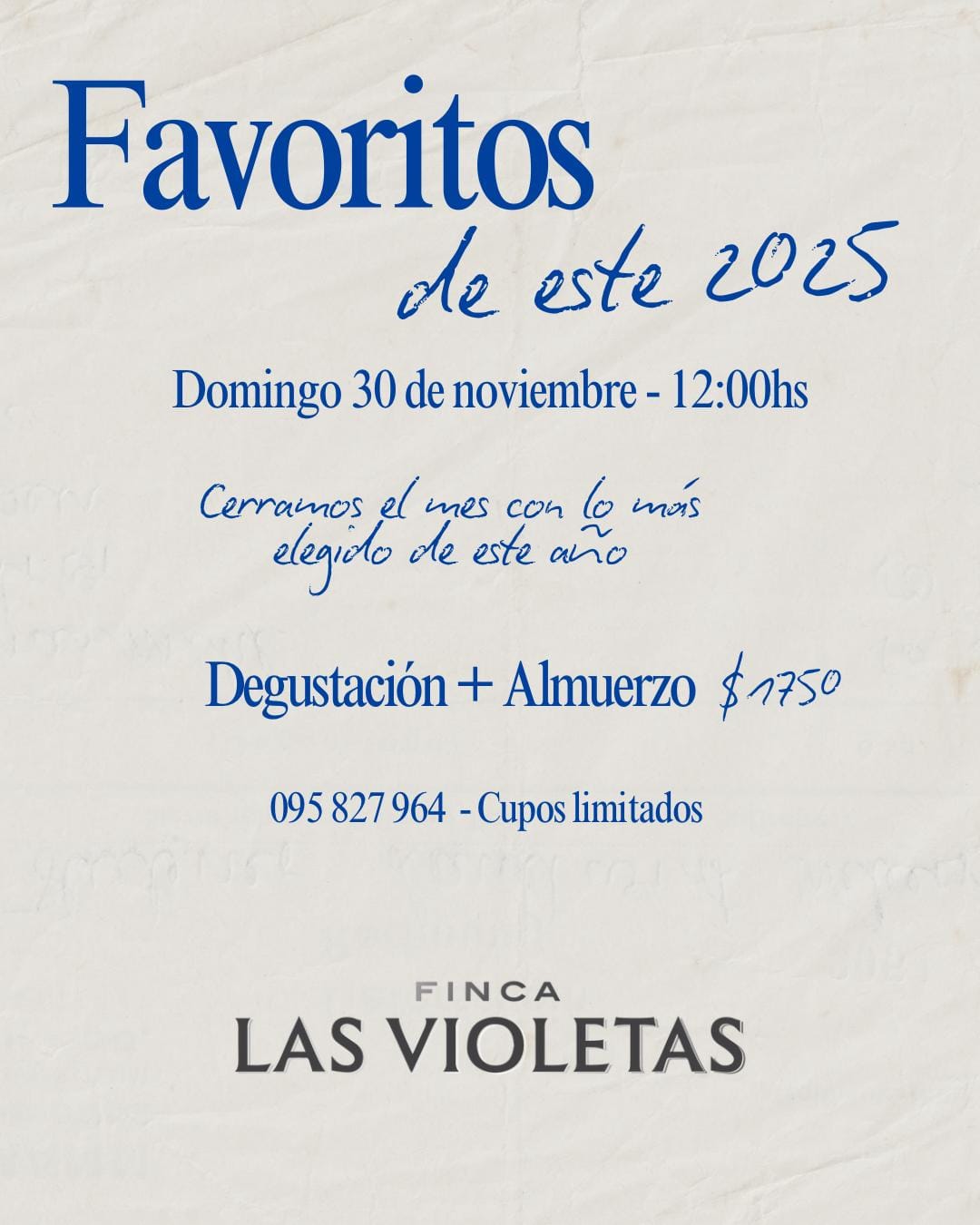 FINCA LAS VIOLETAS: FAVORITOS DE ESTE 2025