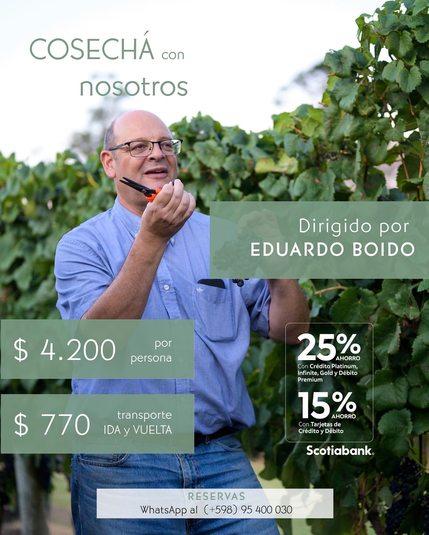 BODEGA BOUZA: COSECHÁ CON NOSOTROS