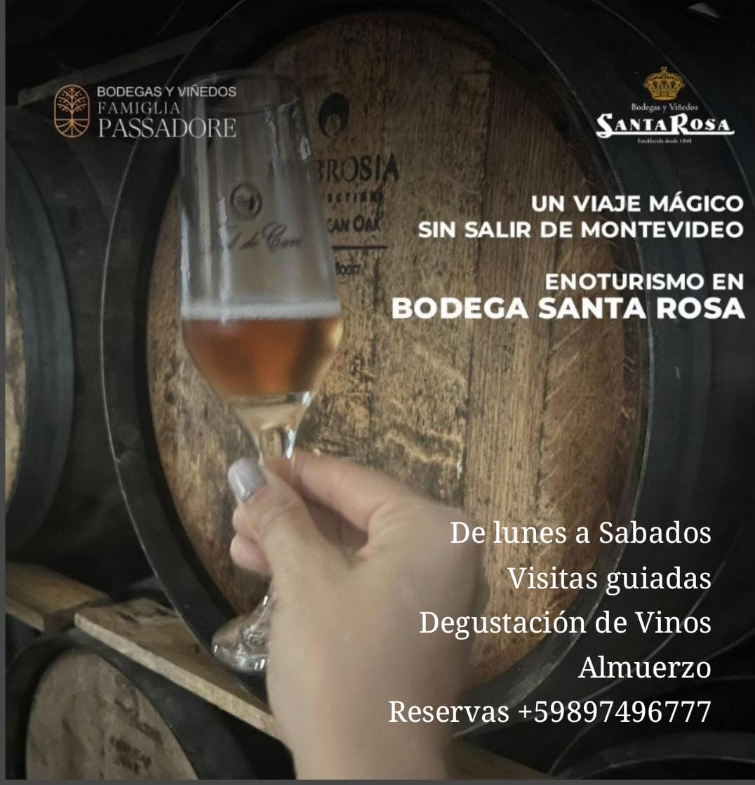BODEGA SANTA ROSA: ENOTURISMO