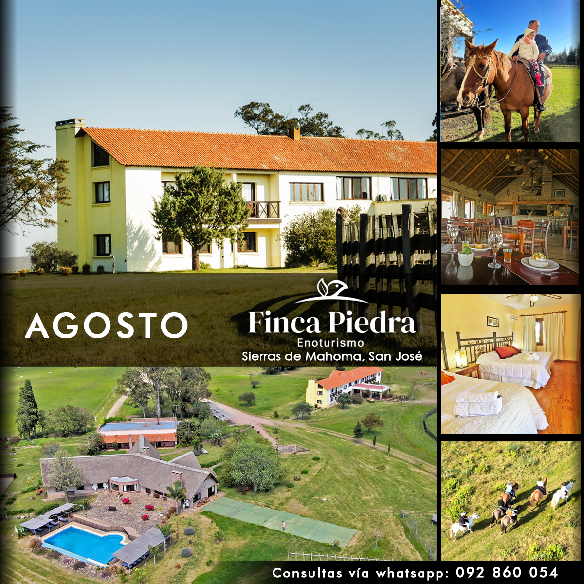 AGOSTO EN FINCA PIEDRA