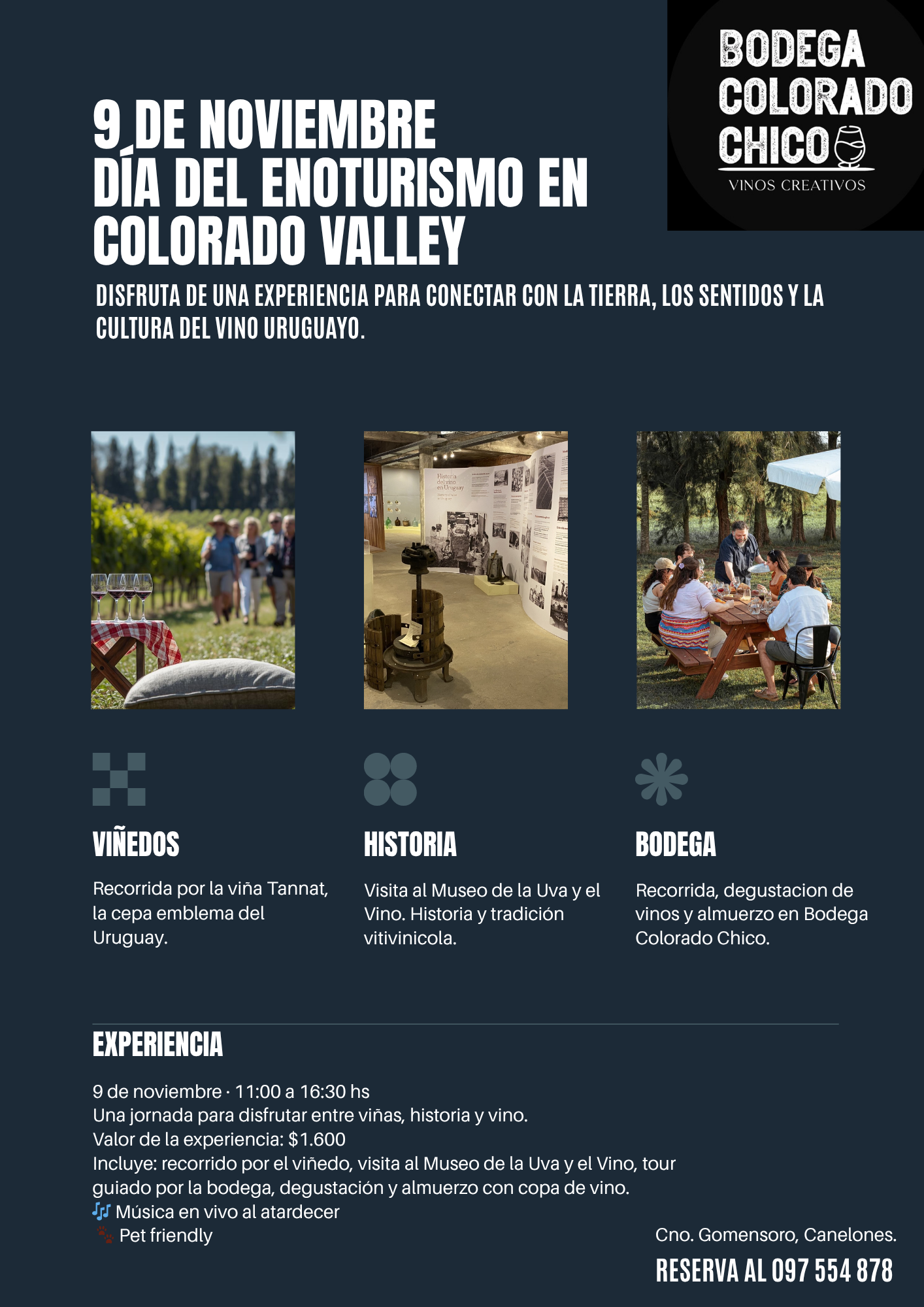 BODEGA COLORADO CHICO: DÍA DEL ENOTURISMO.