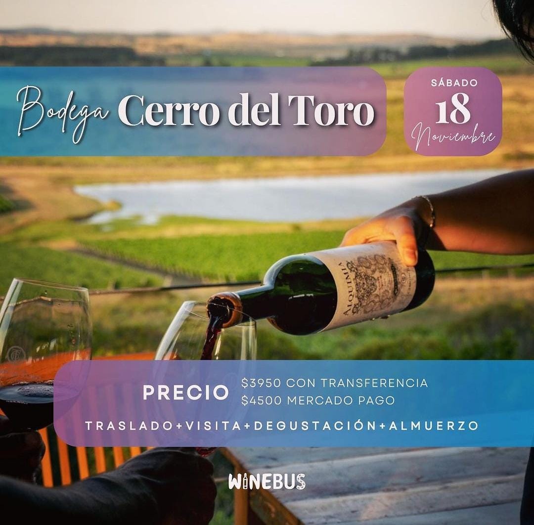 BODEGA CERRO DEL TORO: VISITA ENOTURÍSTICA