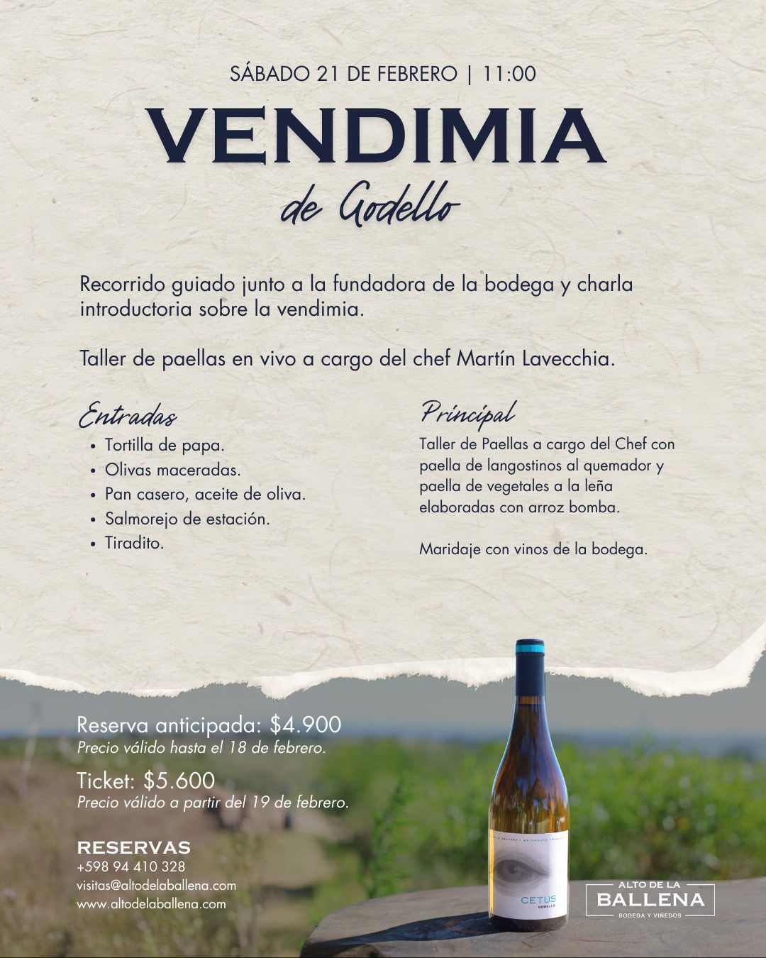 ALTO DE LA BALLENA:  VENDIMIA DE GODELLO