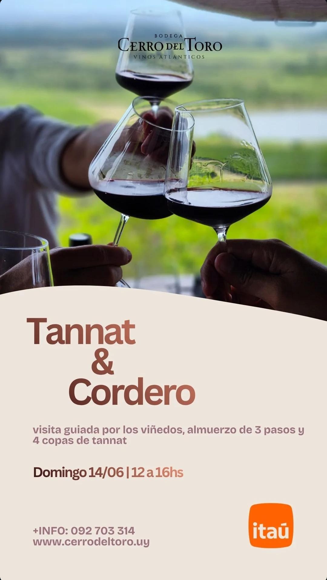 BODEGA CERRO DEL TORO: TANNAT & CORDERO