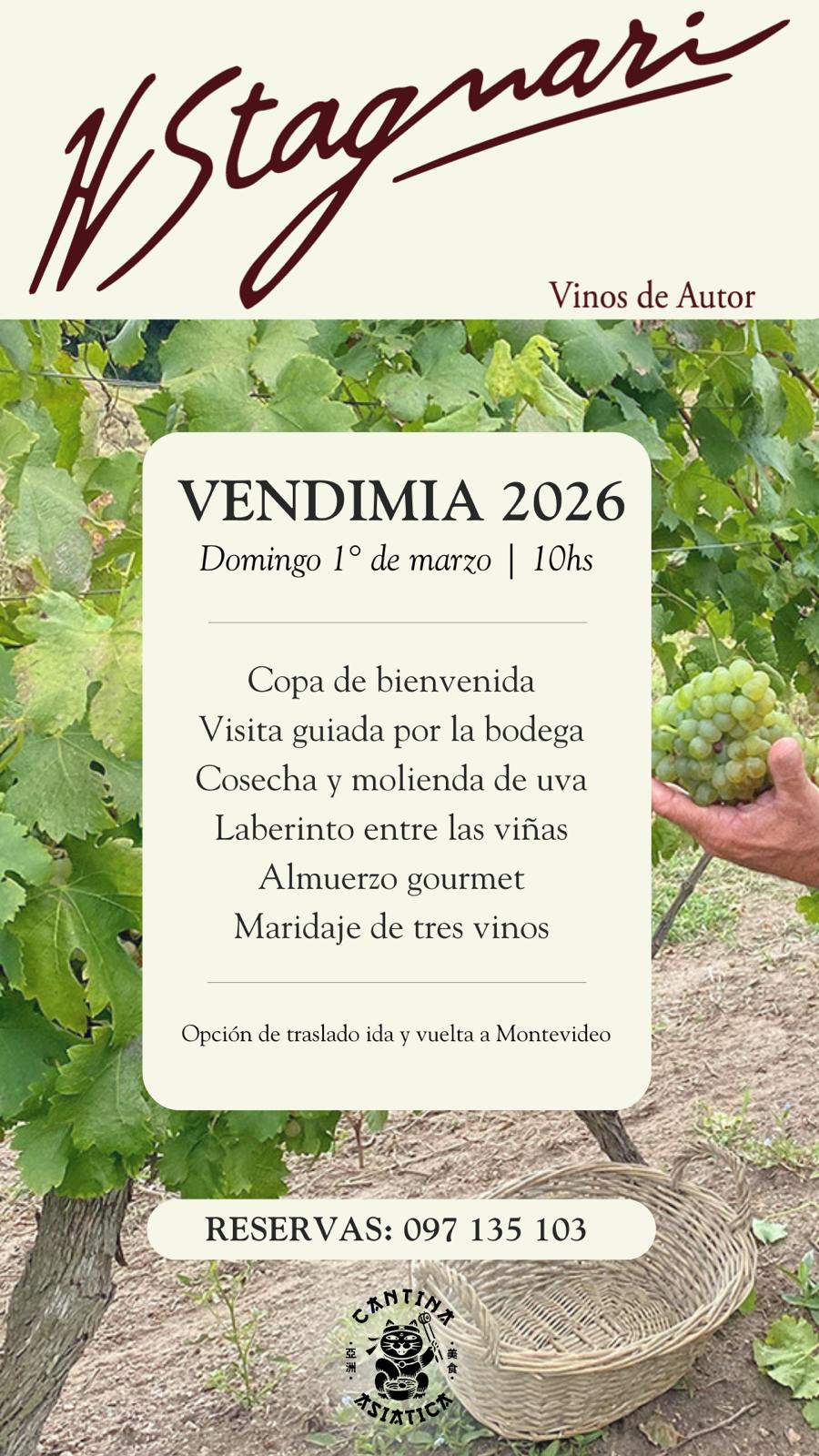 BODEGA H.STAGNARI: VENDIMIA 2026