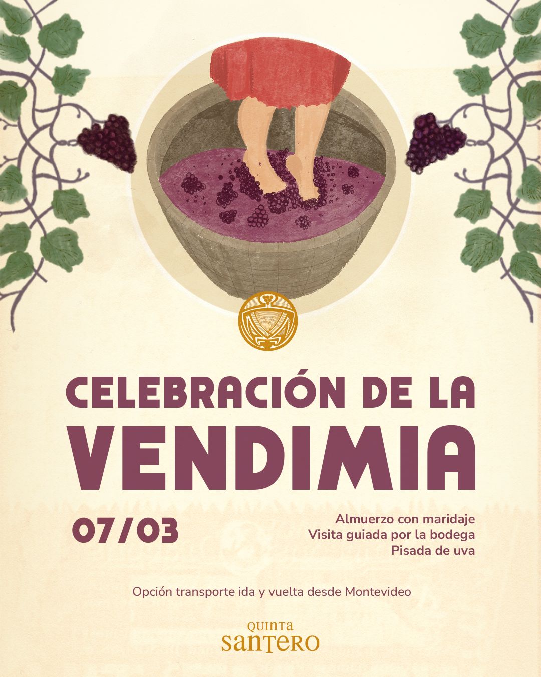BODEGA QUINTA SANTERO: VENDIMIA