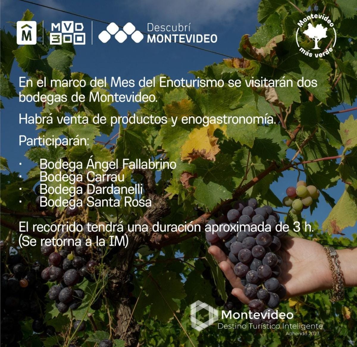 TOUR TEMÁTICO - ENOTURISMO