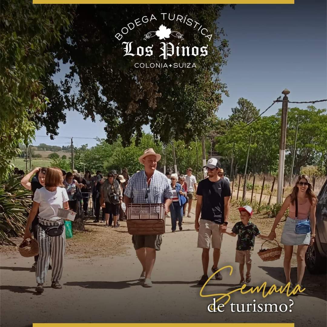 BODEGA LOS PINOS: SEMANA DE TURISMO
