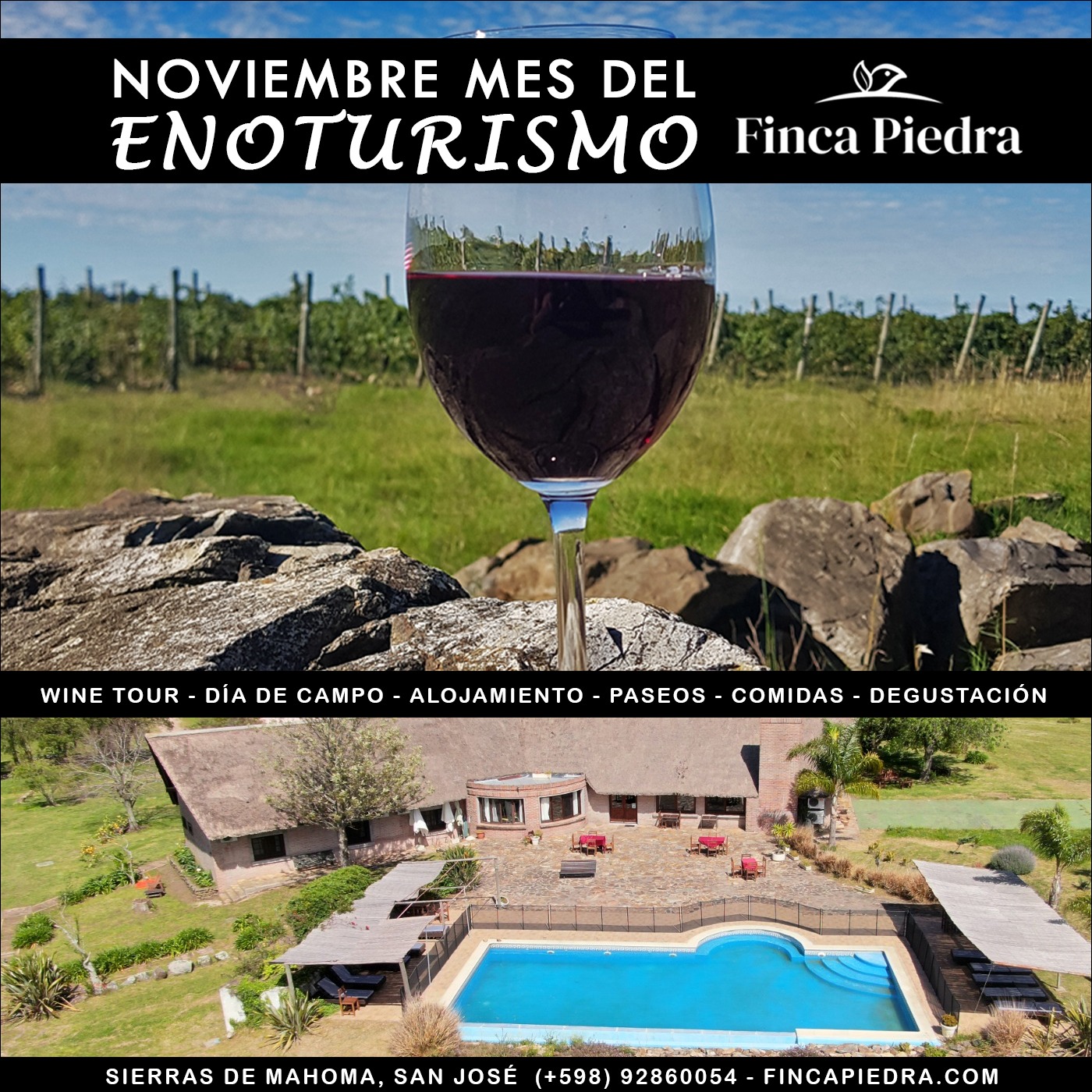 FINCA PIEDRA: MES DEL ENOTURISMO