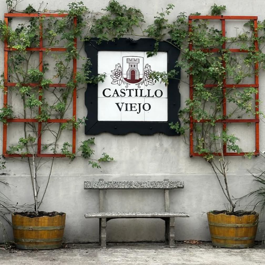 BODEGA CASTILLO VIEJO: EXPERIENCIAS EN VERANO