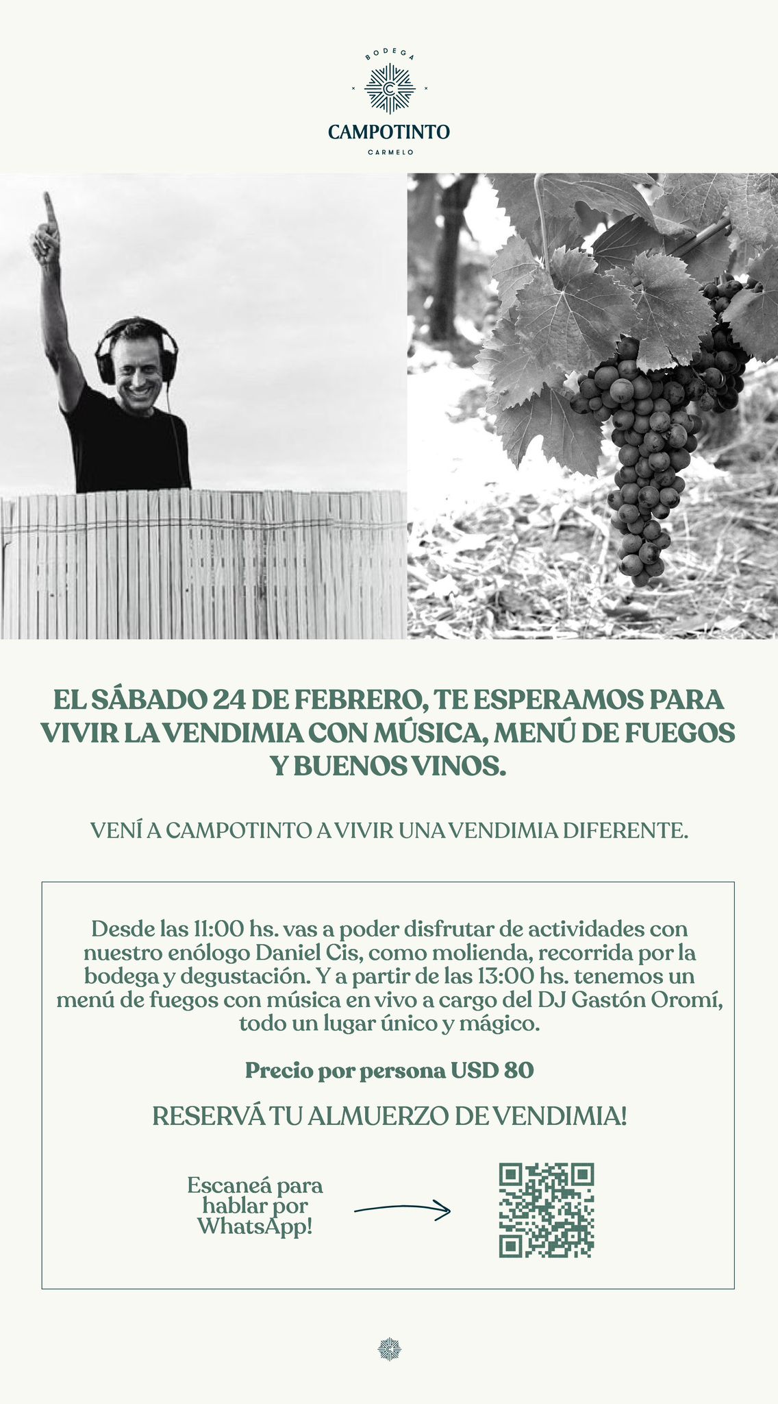 VENDIMIA EN CAMPOTINTO