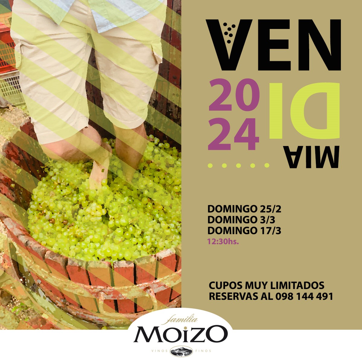 VENDIMIA EN FAMILIA MOIZO