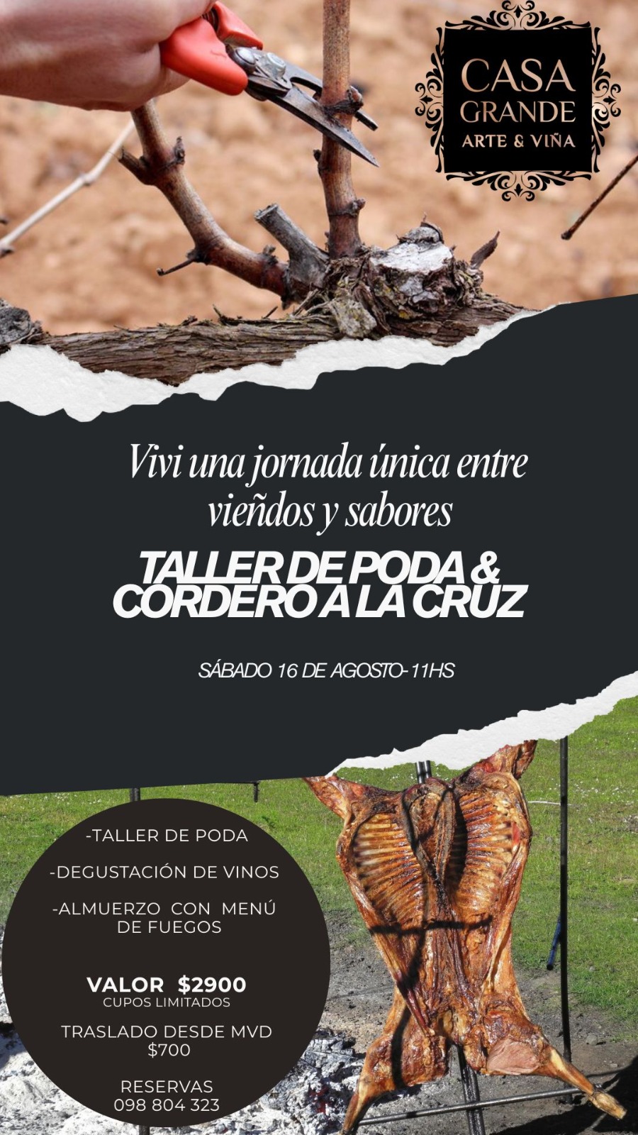 BODEGA CASA GRANDE ARTE Y VIÑA: TALLER DE PODA & CORDERO A LA CRUZ