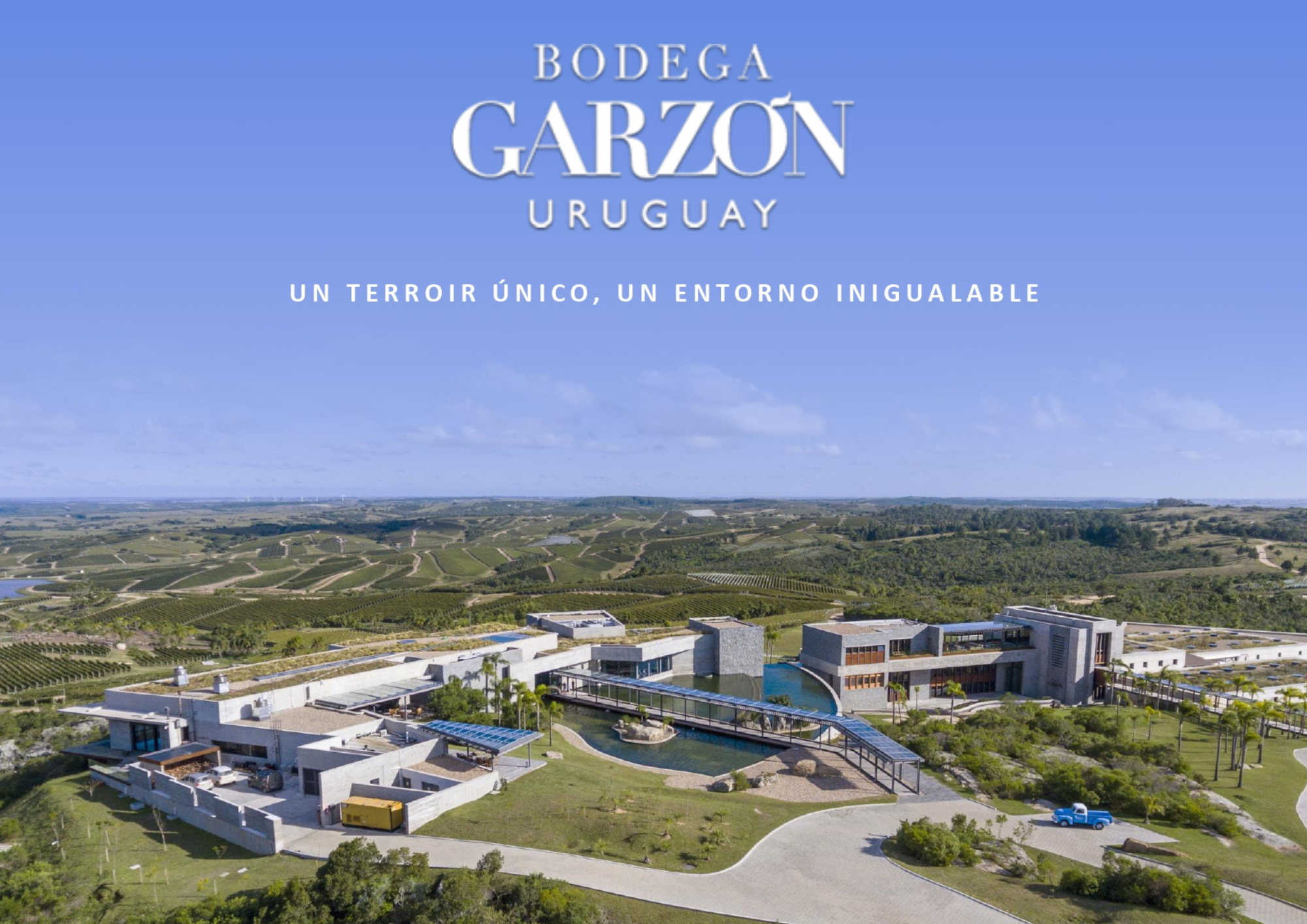 BODEGA GARZÓN: EXPERIENCIAS VERANO 2025