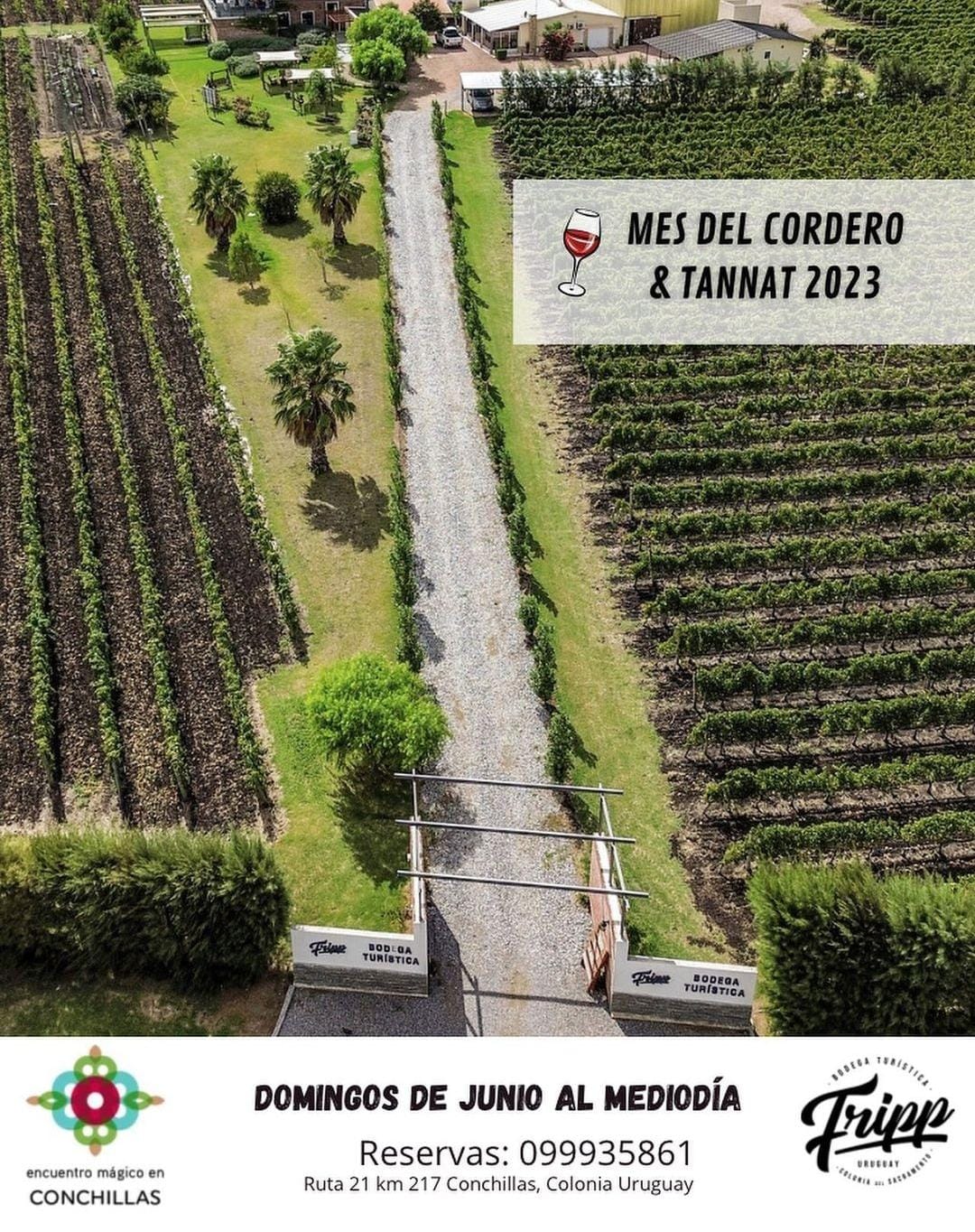 BODEGA FRIPP: MES DEL TANNAT & CORDERO