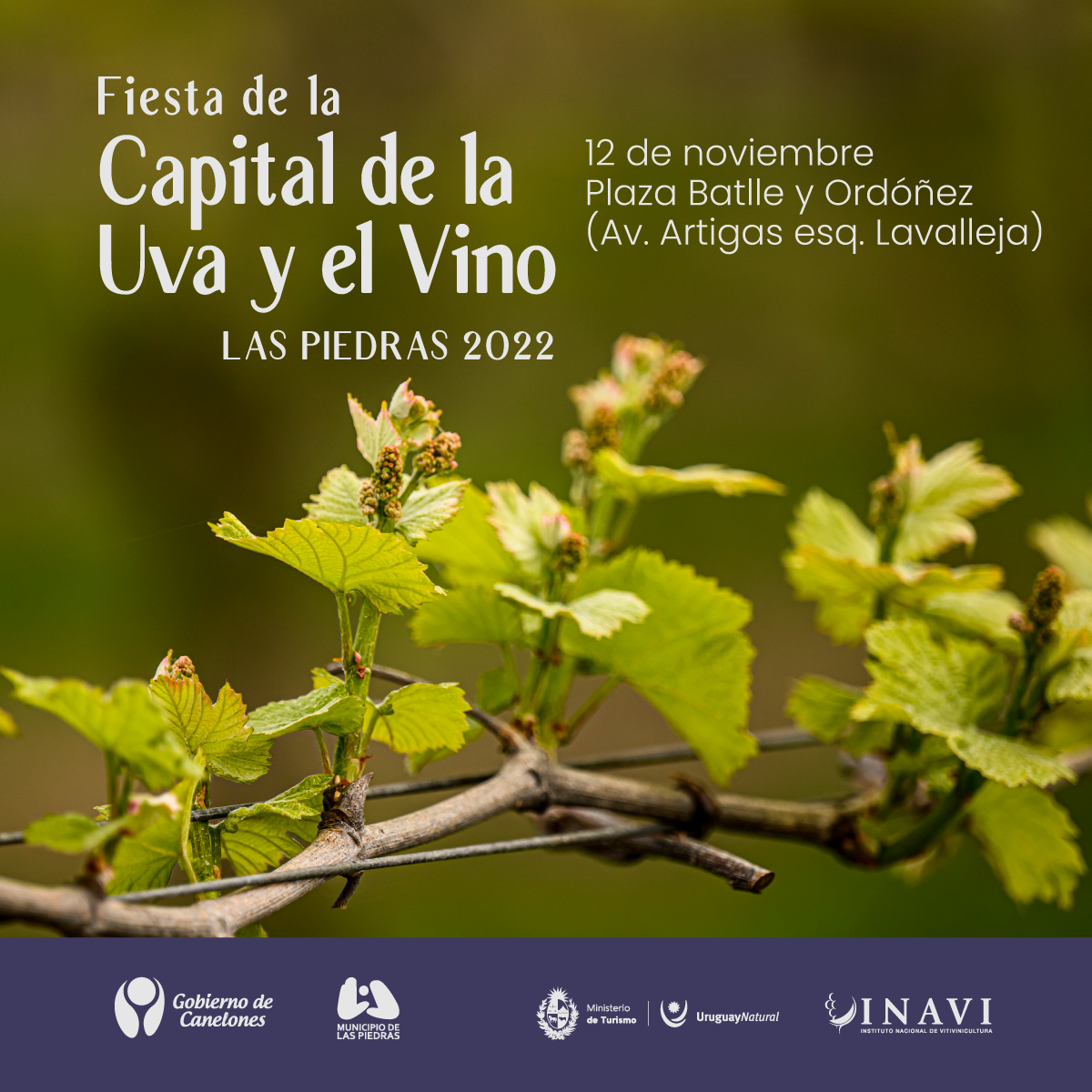 FIESTA DE  LA CAPITAL DE LA UVA Y EL VINO