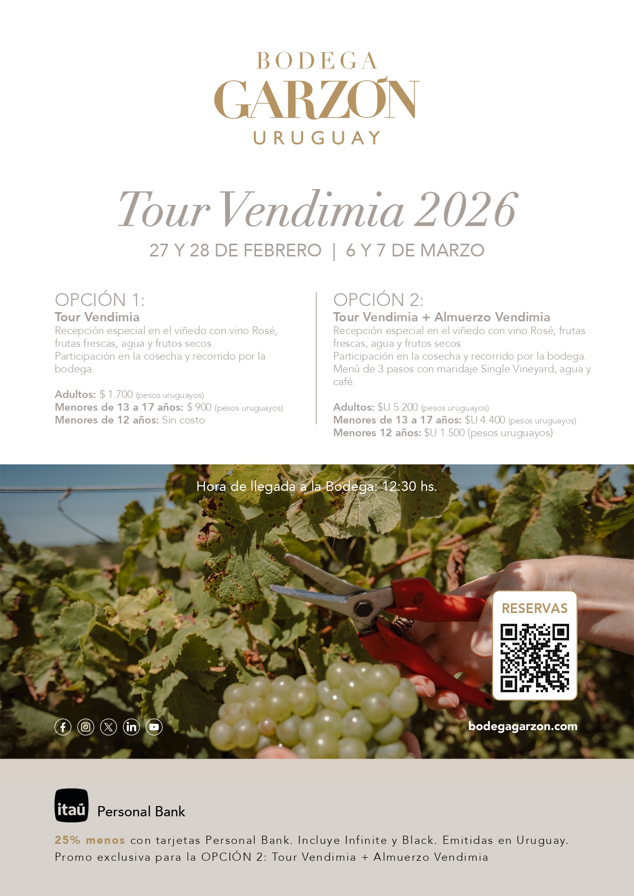 BODEGA GARZÓN:TOUR VENDIMIA 2026