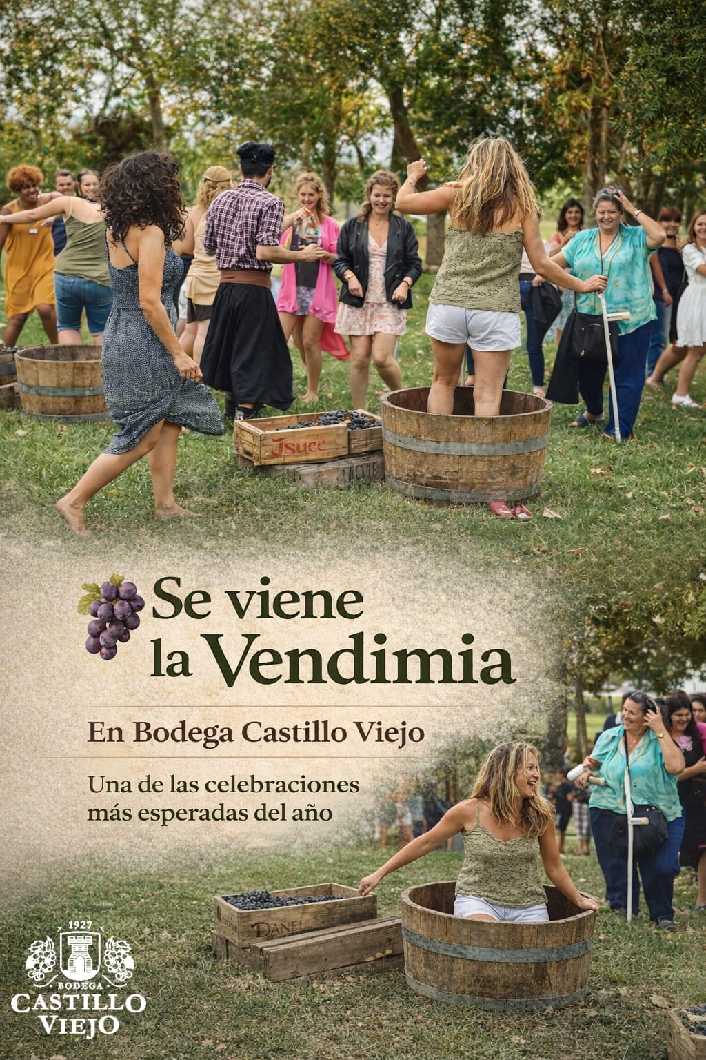 BODEGA CASTILLO VIEJO: SE VIENE LA VENDIMIA