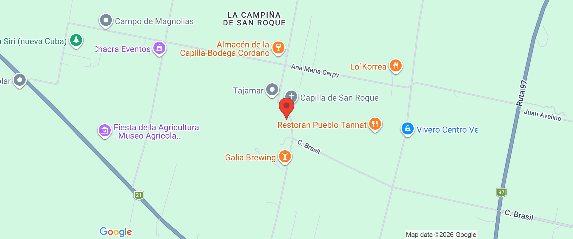 BODEGA CAMPOTINTO