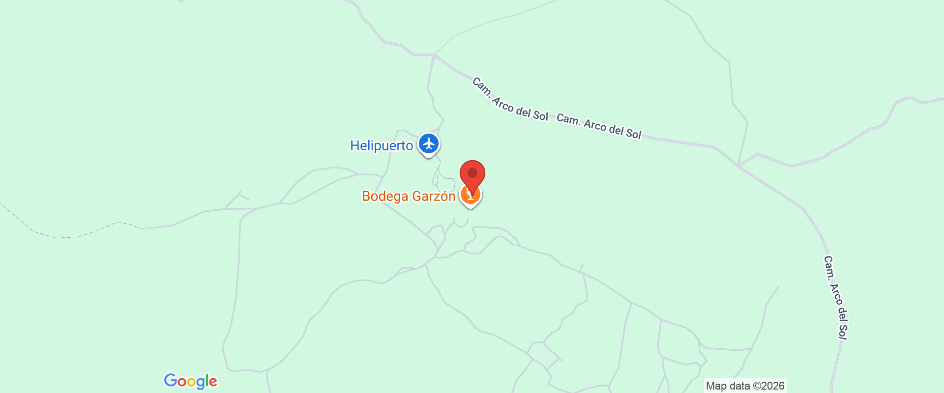 BODEGA GARZÓN: TOUR VENDIMIA 2025