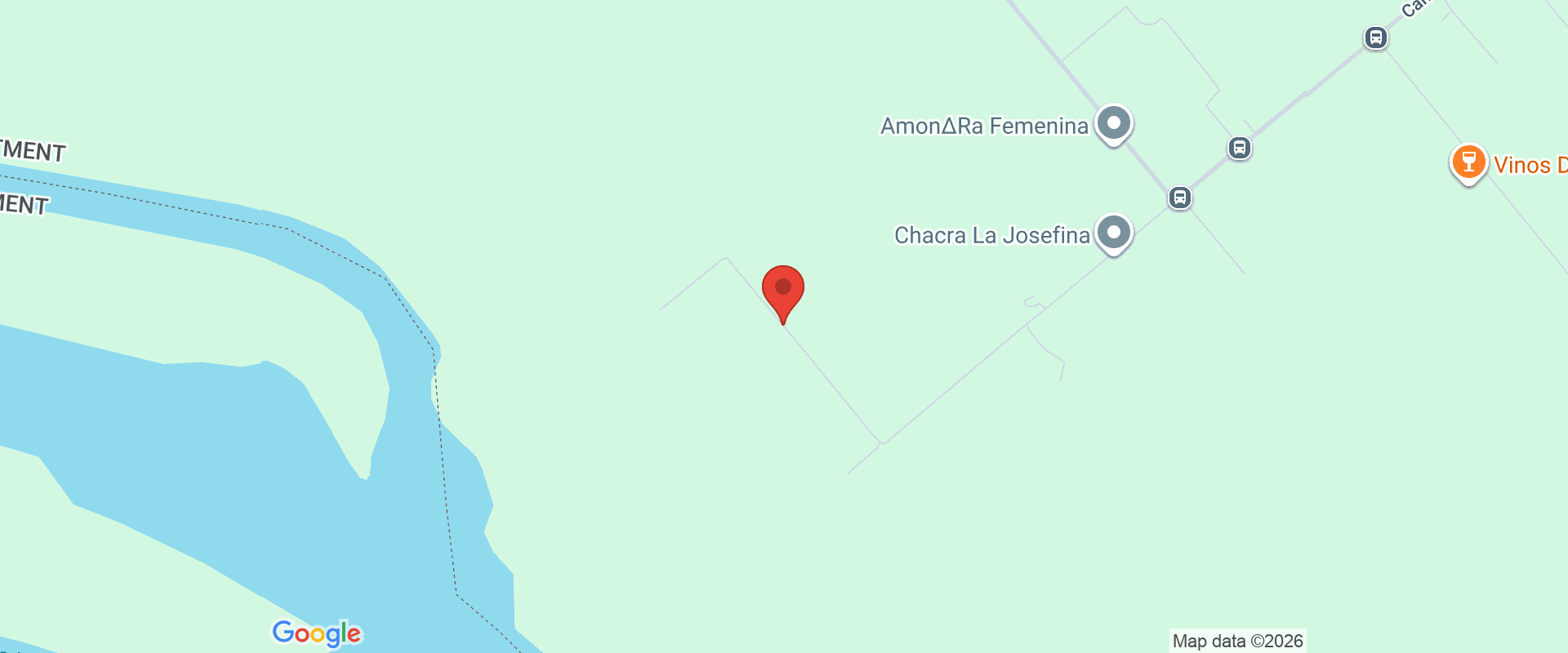 BODEGA D. MOZZO