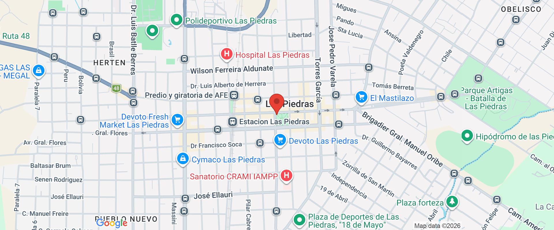FIESTA DE  LA CAPITAL DE LA UVA Y EL VINO