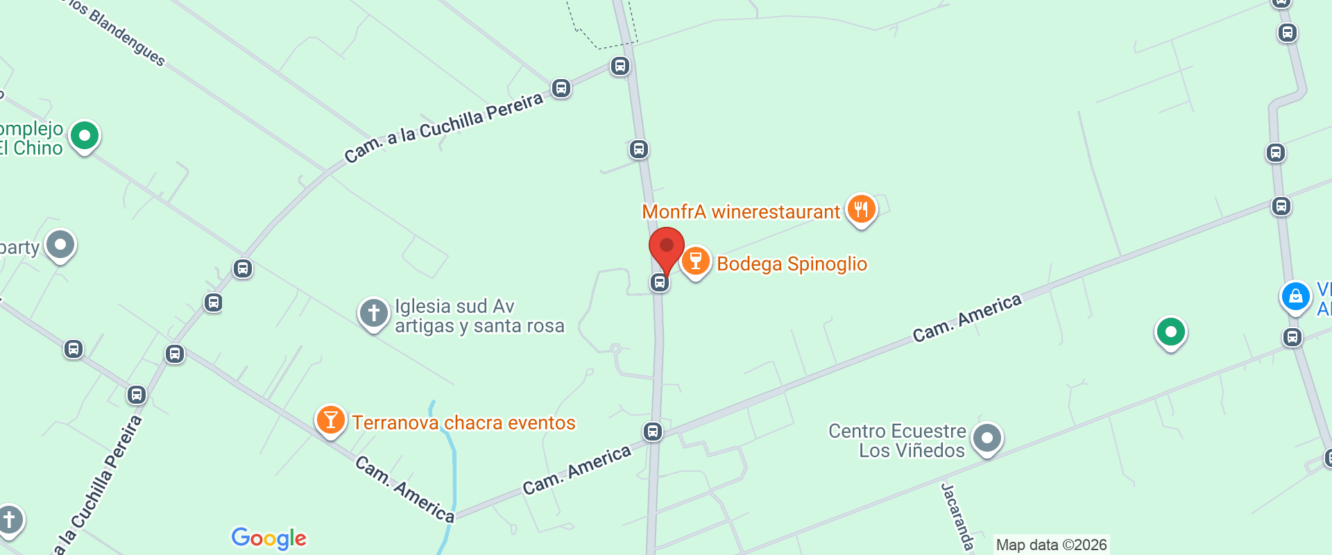 VENDIMIA EN BODEGA SPINOGLIO