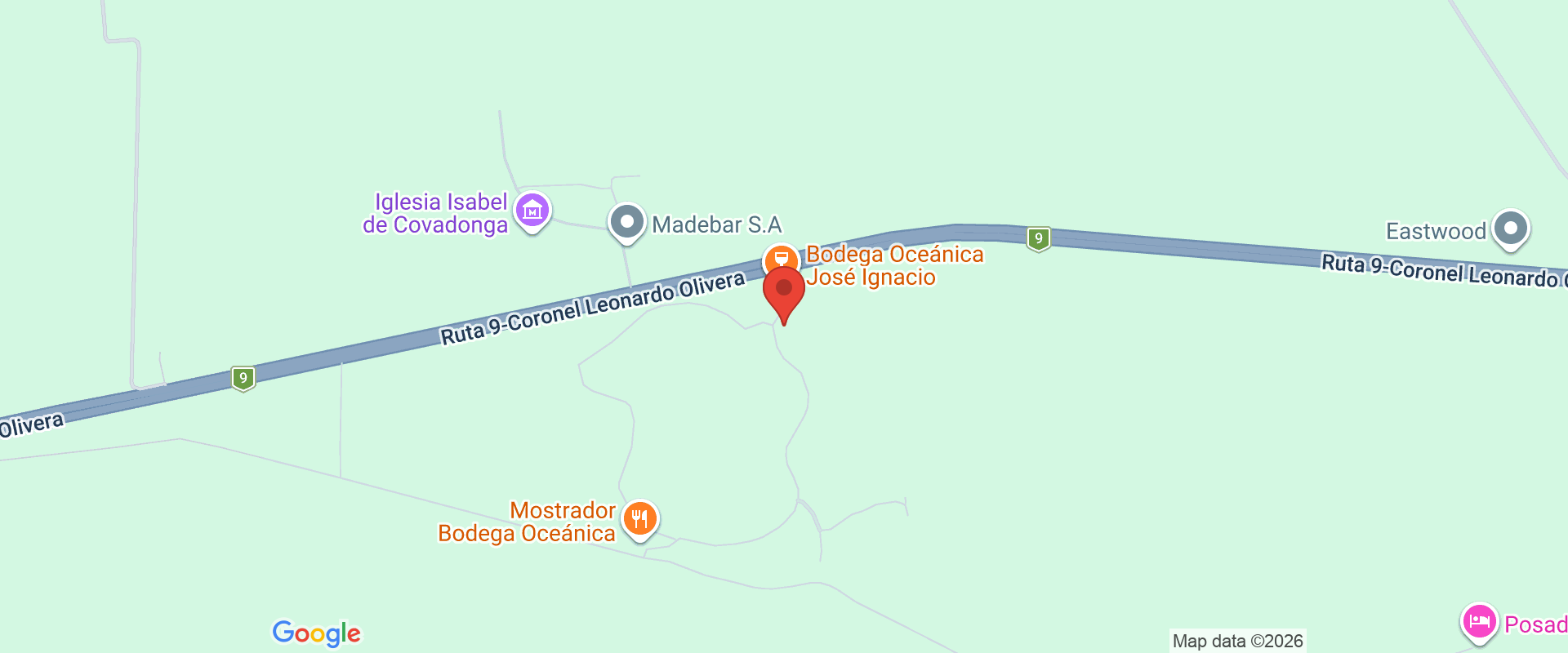 OCEÁNICA: ACTIVIDADES JUNIO Y JULIO