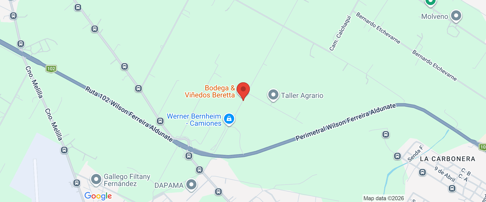 BERETTA BODEGA Y VIÑEDOS