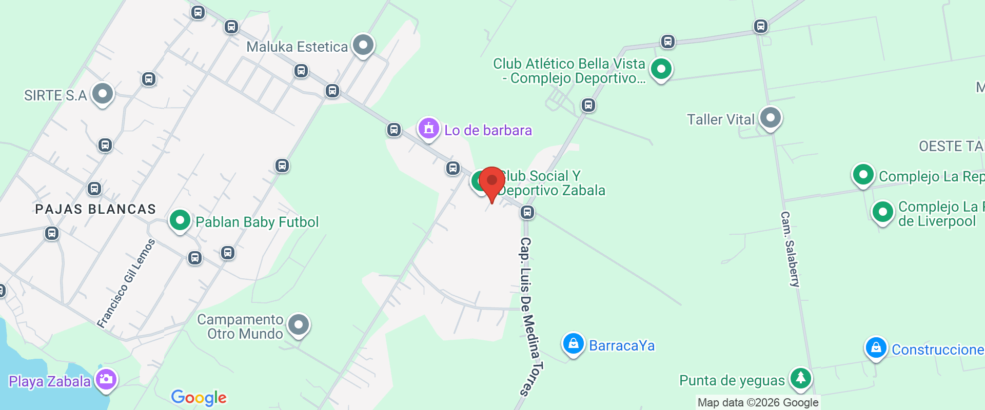 BODEGA TOMASI