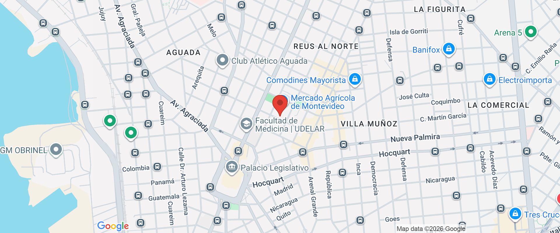 MAM: MERCADO DEL VINO NACIONAL 2021