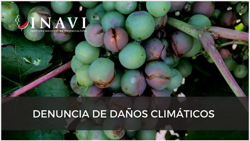 DECLARACIÓN DE DAÑOS CLIMÁTICOS