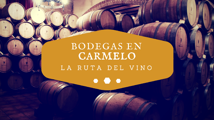 BODEGAS DE CARMELO