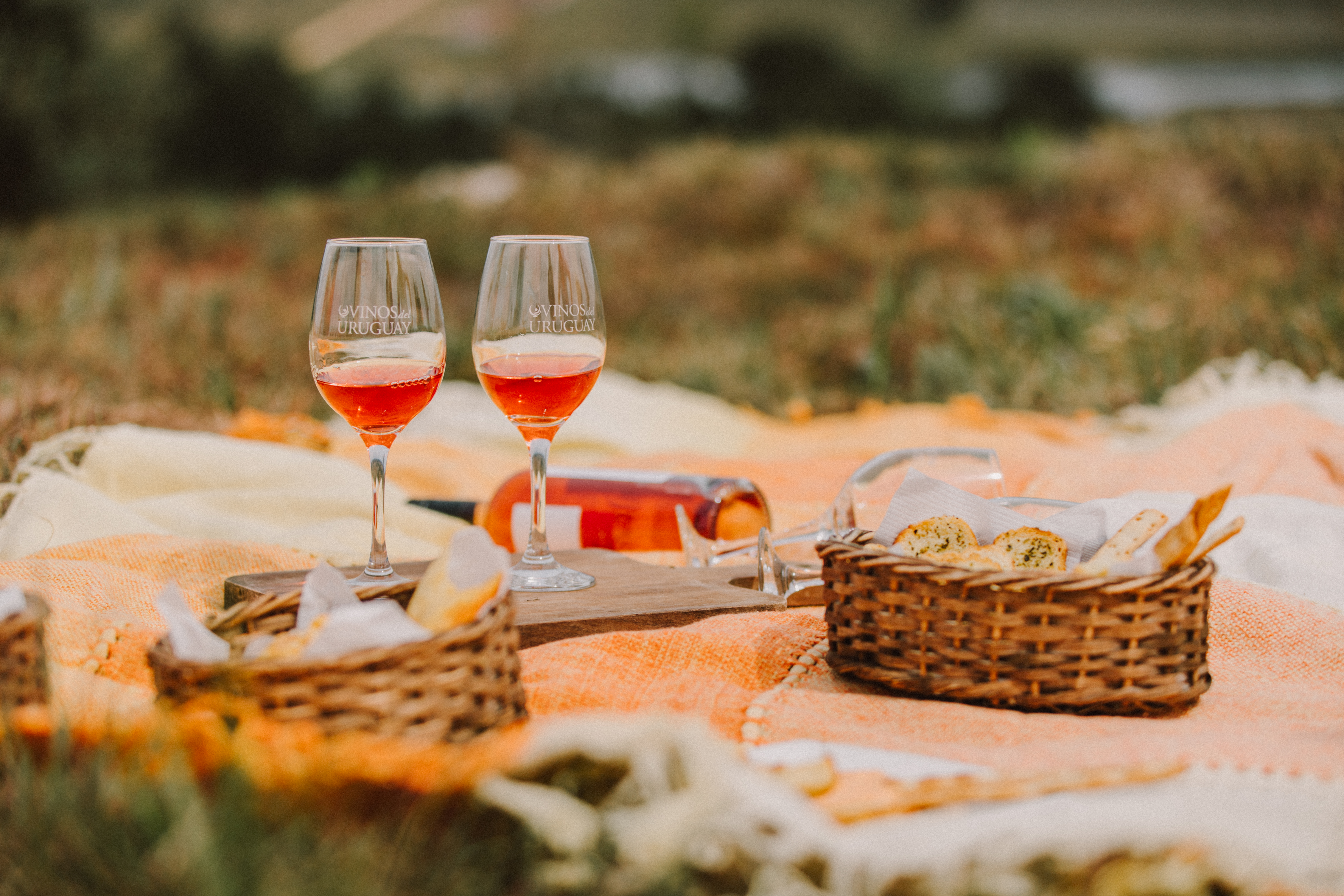 LAS BODEGAS TURÍSTICAS TAMBIÉN SON PARA EL VERANO